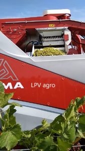 Kombajn na hrozny Alma Selecta 3.5/LPV agro
